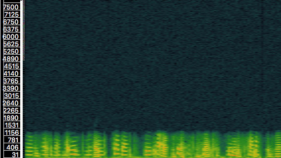 Spectrogram of 64 random real speech windows (2048 samples) joined together